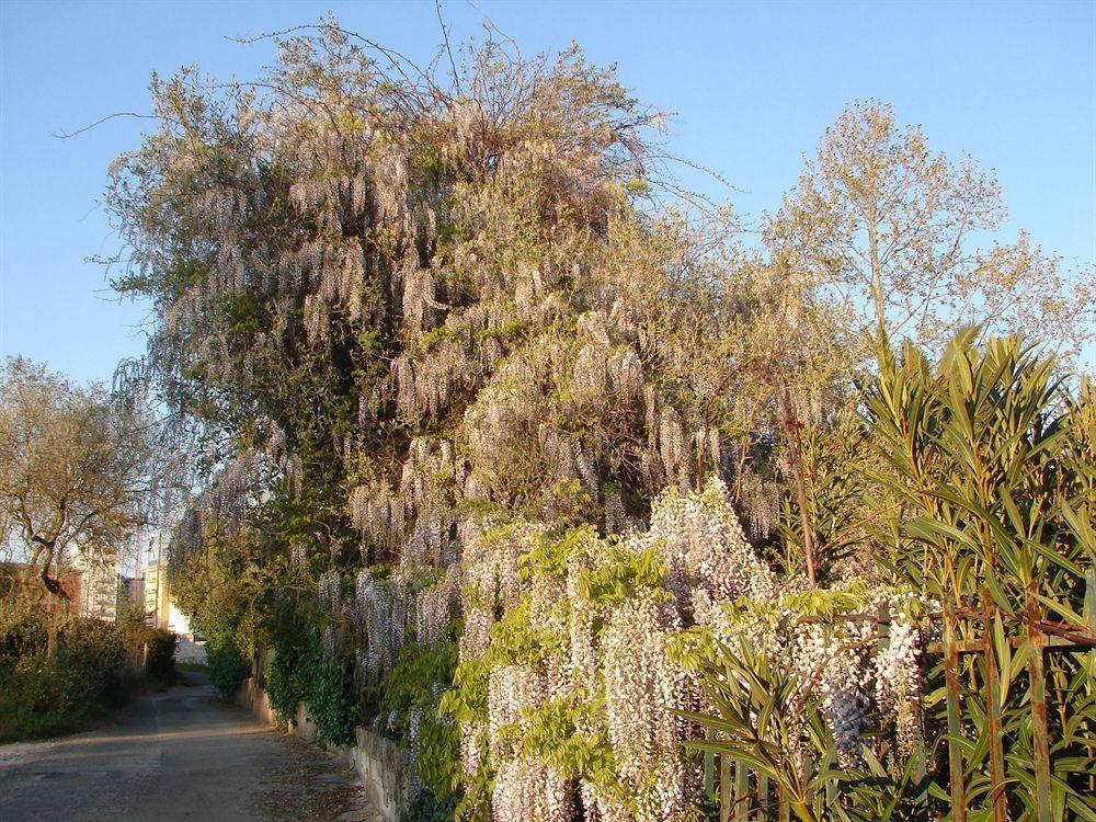 Parco Delle Valli Sassari Eksteriør bilde